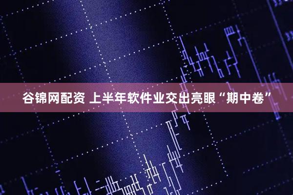 谷锦网配资 上半年软件业交出亮眼“期中卷”