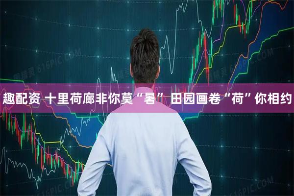 趣配资 十里荷廊非你莫“暑” 田园画卷“荷”你相约