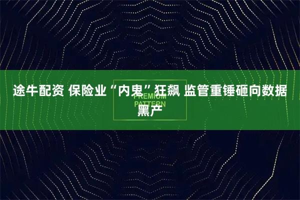 途牛配资 保险业“内鬼”狂飙 监管重锤砸向数据黑产