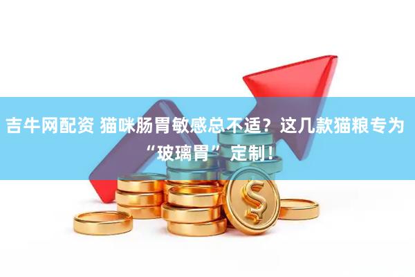 吉牛网配资 猫咪肠胃敏感总不适？这几款猫粮专为 “玻璃胃” 定制！