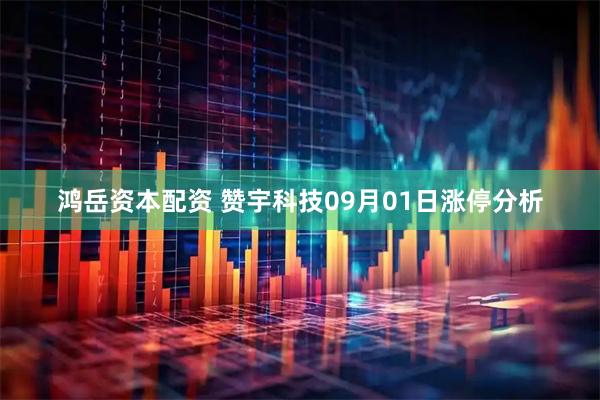 鸿岳资本配资 赞宇科技09月01日涨停分析
