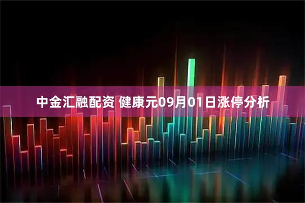 中金汇融配资 健康元09月01日涨停分析