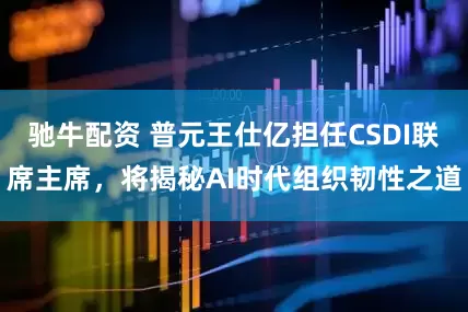 驰牛配资 普元王仕亿担任CSDI联席主席，将揭秘AI时代组织韧性之道