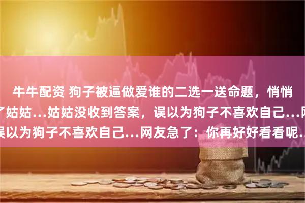 牛牛配资 狗子被逼做爱谁的二选一送命题，悄悄打量主人的脸色后选择了姑姑…姑姑没收到答案，误以为狗子不喜欢自己…网友急了：你再好好看看呢…